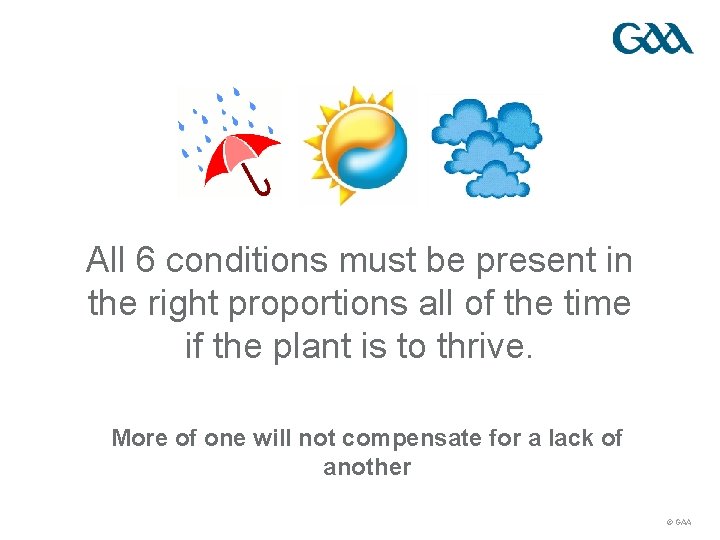 All 6 conditions must be present in the right proportions all of the time