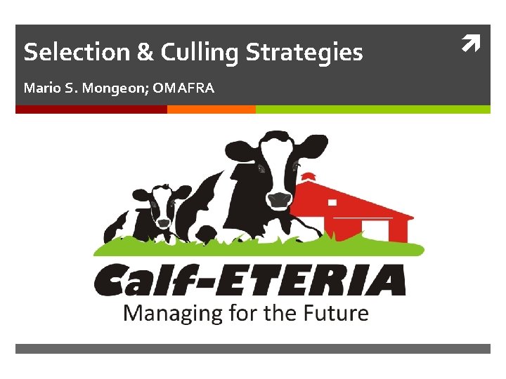 Selection & Culling Strategies Mario S. Mongeon; OMAFRA 