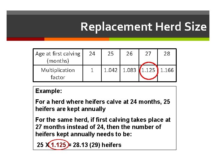 Replacement Herd Size Age at first calving (months) 24 Multiplication factor 1 25 26