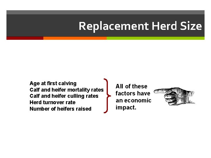 Replacement Herd Size Age at first calving Calf and heifer mortality rates Calf and