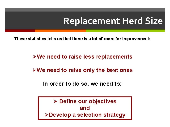 Replacement Herd Size These statistics tells us that there is a lot of room