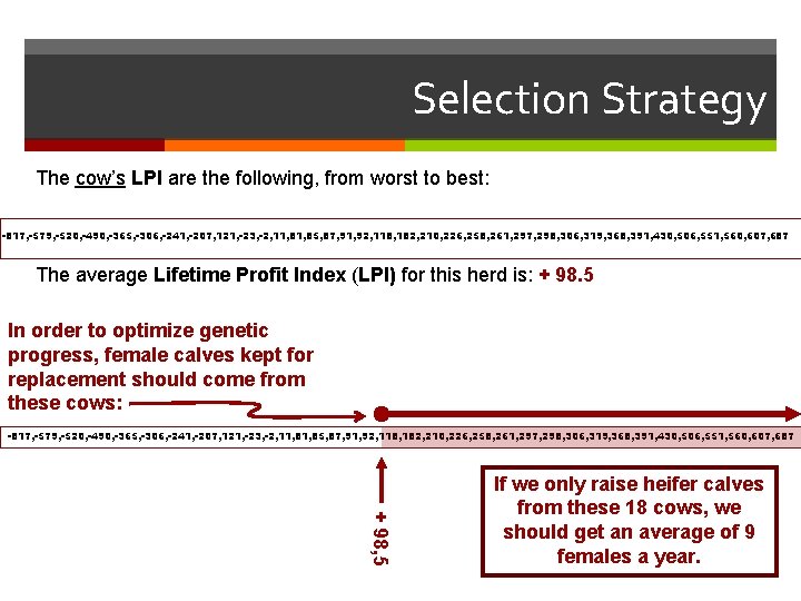Selection Strategy The cow’s LPI are the following, from worst to best: -817, -579,