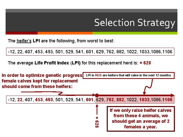 Selection Strategy The heifer’s LPI are the following, from worst to best: -12, 22,
