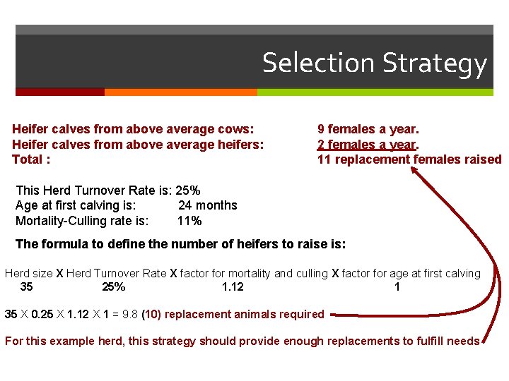 Selection Strategy Heifer calves from above average cows: Heifer calves from above average heifers: