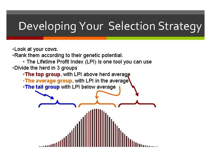 Developing Your Selection Strategy • Look at your cows. • Rank them according to