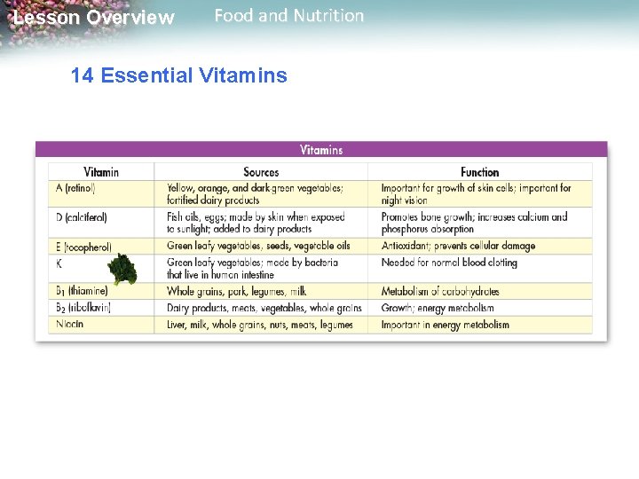 Lesson Overview Food and Nutrition 14 Essential Vitamins 
