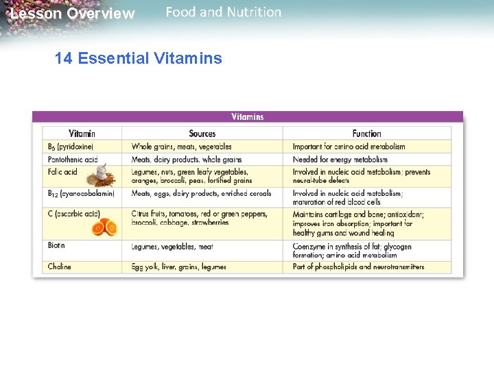 Lesson Overview Food and Nutrition 14 Essential Vitamins 
