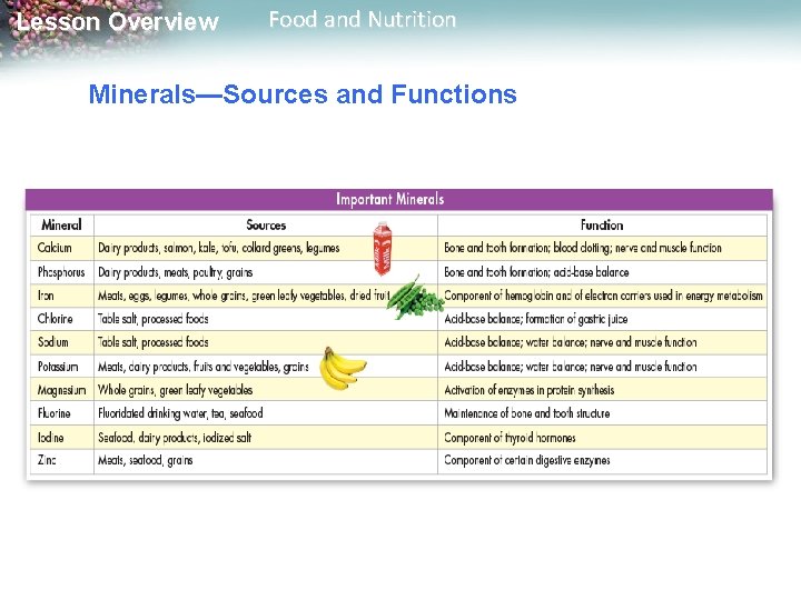 Lesson Overview Food and Nutrition Minerals—Sources and Functions 
