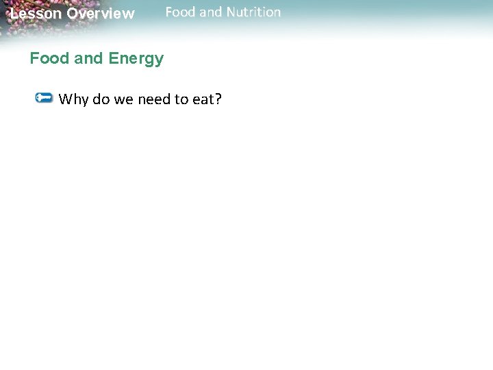 Lesson Overview Food and Nutrition Food and Energy Why do we need to eat?
