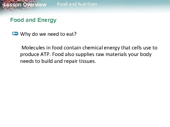 Lesson Overview Food and Nutrition Food and Energy Why do we need to eat?