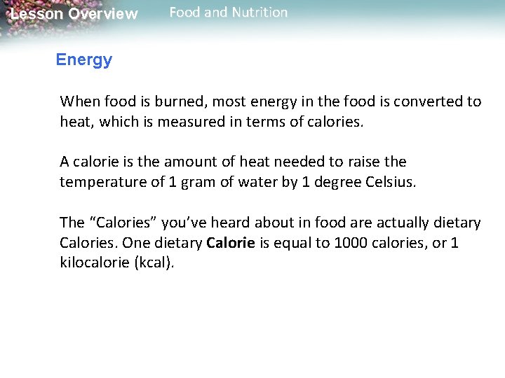 Lesson Overview Food and Nutrition Energy When food is burned, most energy in the