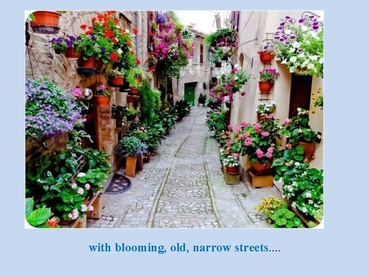 with blooming, old, narrow streets…. 