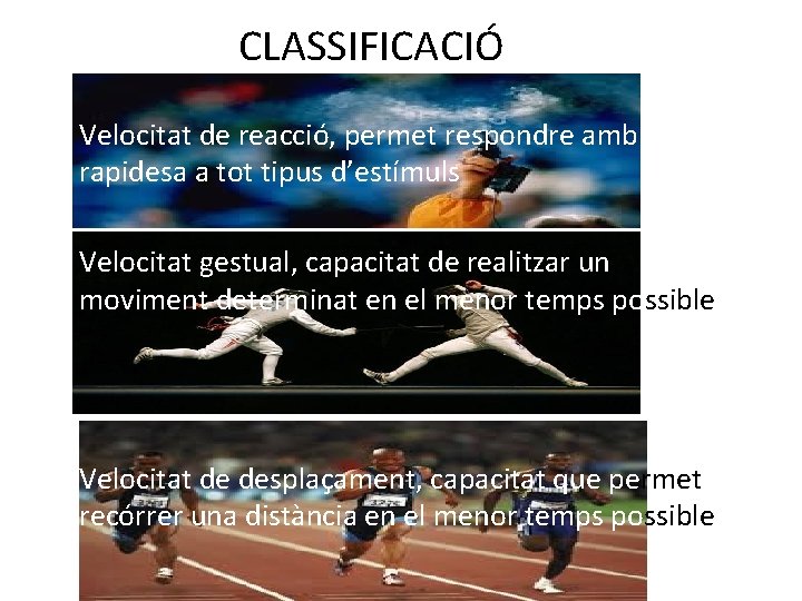 CLASSIFICACIÓ • Velocitat de reacció, permet respondre amb rapidesa a tot tipus d’estímuls •