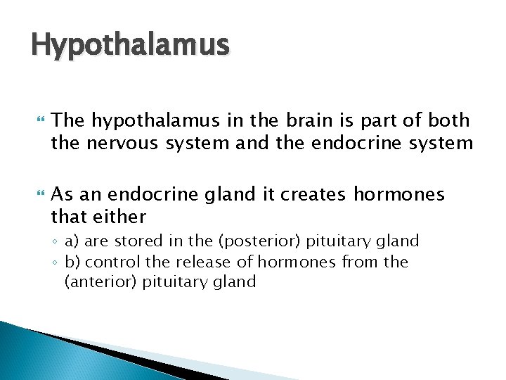 Hypothalamus The hypothalamus in the brain is part of both the nervous system and