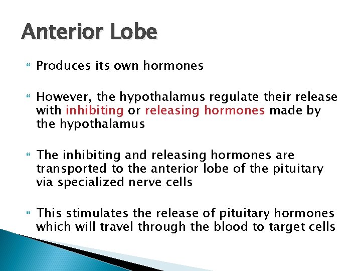 Anterior Lobe Produces its own hormones However, the hypothalamus regulate their release with inhibiting