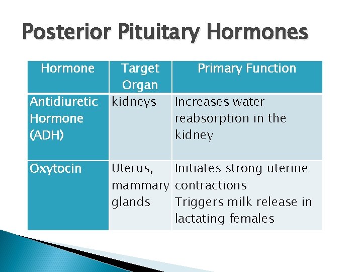 Posterior Pituitary Hormones Hormone Antidiuretic Hormone (ADH) Oxytocin Target Organ kidneys Primary Function Increases