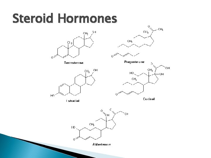 Steroid Hormones 