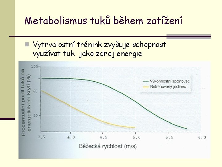 Metabolismus tuků během zatížení n Vytrvalostní trénink zvyšuje schopnost využívat tuk jako zdroj energie