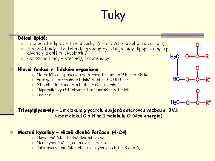 Tuky n Dělení lipidů: n n Jednoduché lipidy – tuky a vosky (estery MK