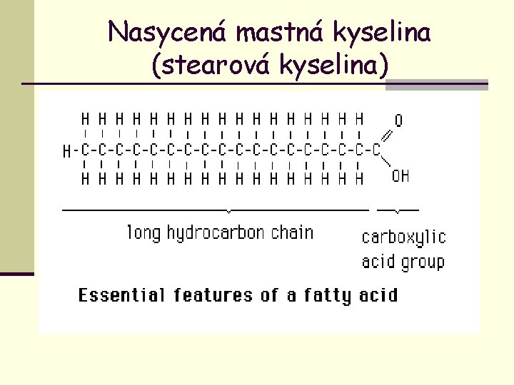 Nasycená mastná kyselina (stearová kyselina) 