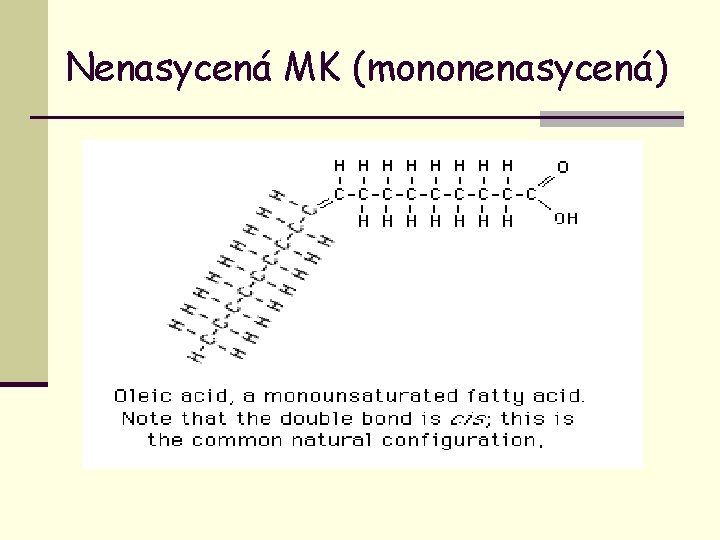 Nenasycená MK (mononenasycená) 