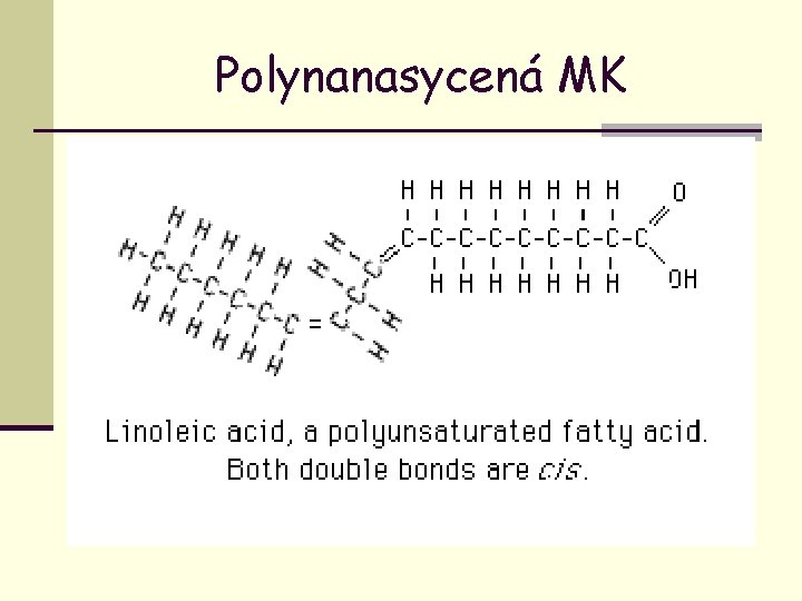 Polynanasycená MK 