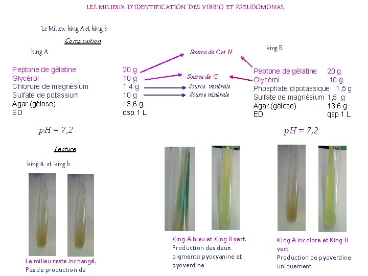 LES MILIEUX D’IDENTIFICATION DES VIBRIO ET PSEUDOMONAS Le Milieu king A et king b