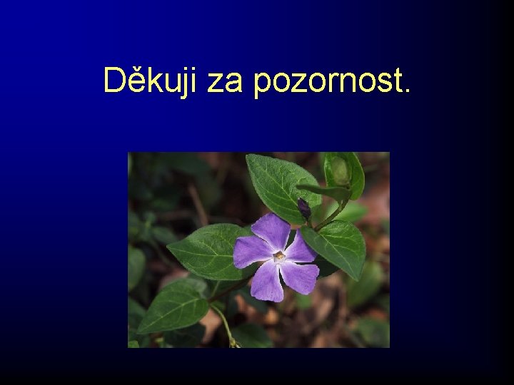 Děkuji za pozornost. Děkuji za pozornost.