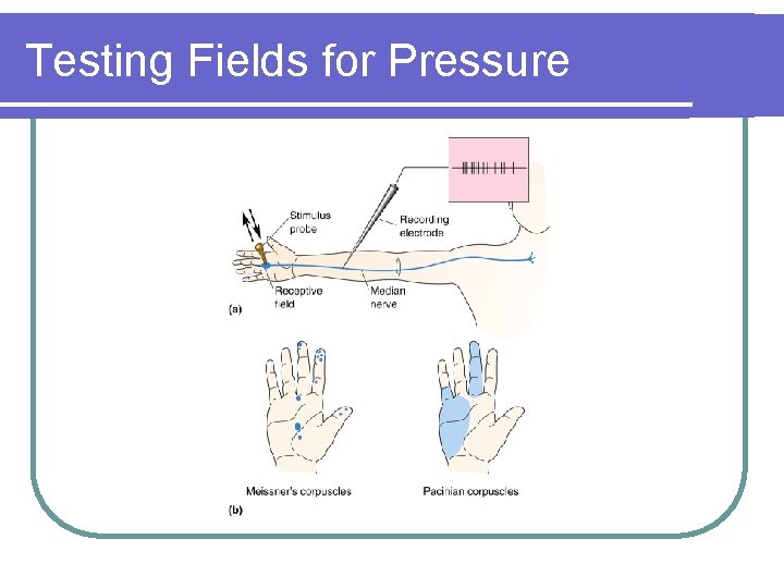 Testing Fields for Pressure 