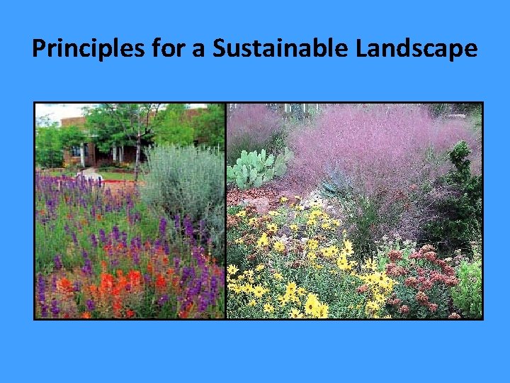 Principles for a Sustainable Landscape 