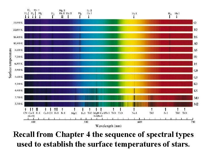 Recall from Chapter 4 the sequence of spectral types used to establish the surface