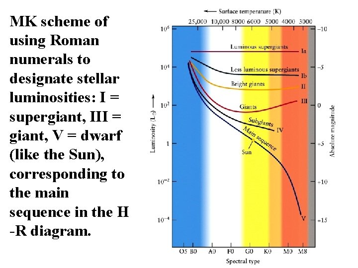 MK scheme of using Roman numerals to designate stellar luminosities: I = supergiant, III