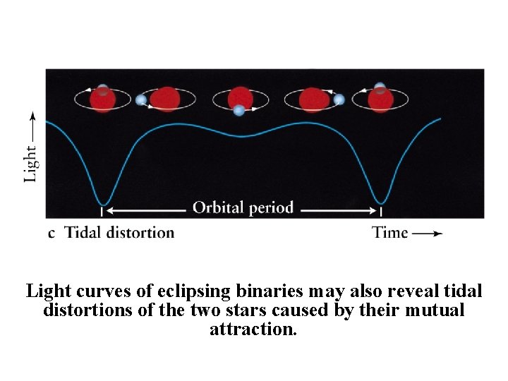 Light curves of eclipsing binaries may also reveal tidal distortions of the two stars