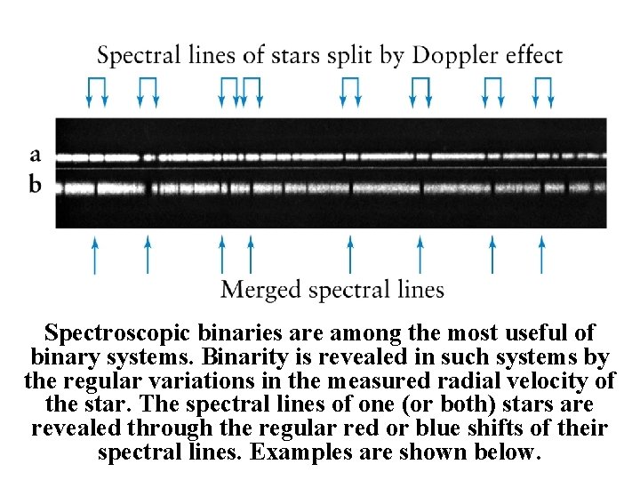 Spectroscopic binaries are among the most useful of binary systems. Binarity is revealed in