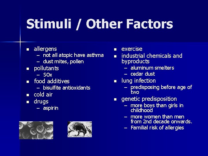 Stimuli / Other Factors n allergens – not all atopic have asthma – dust