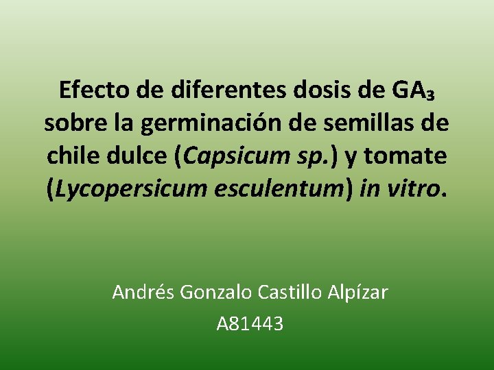 Efecto de diferentes dosis de GA₃ sobre la germinación de semillas de chile dulce