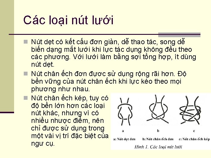 Các loại nút lưới n Nút dẹt có kết cấu đơn giản, dễ thao