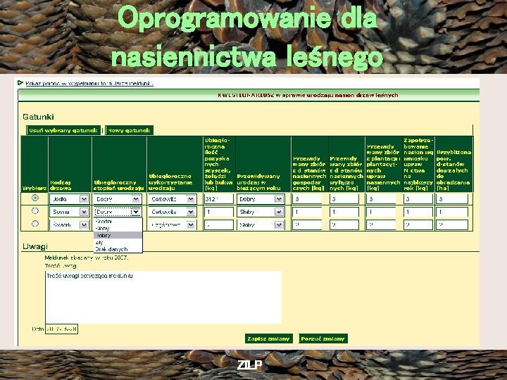 Oprogramowanie dla nasiennictwa leśnego ZILP 