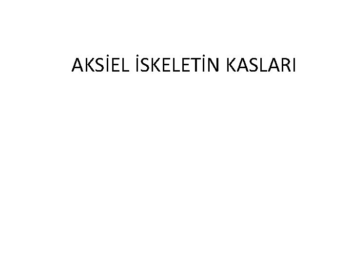 AKSİEL İSKELETİN KASLARI 