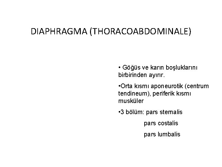 DIAPHRAGMA (THORACOABDOMINALE) • Göğüs ve karın boşluklarını birbirinden ayırır. • Orta kısmı aponeurotik (centrum