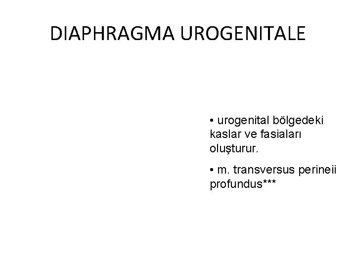 DIAPHRAGMA UROGENITALE • urogenital bölgedeki kaslar ve fasiaları oluşturur. • m. transversus perineii profundus***