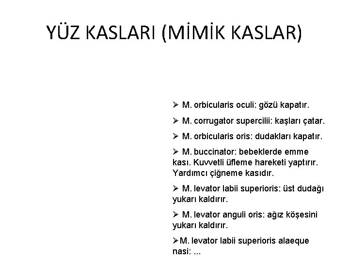 YÜZ KASLARI (MİMİK KASLAR) Ø M. orbicularis oculi: gözü kapatır. Ø M. corrugator supercilii: