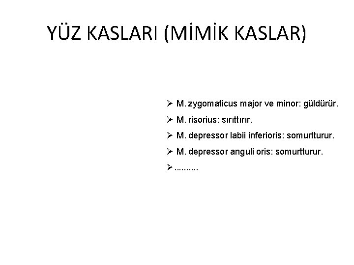 YÜZ KASLARI (MİMİK KASLAR) Ø M. zygomaticus major ve minor: güldürür. Ø M. risorius: