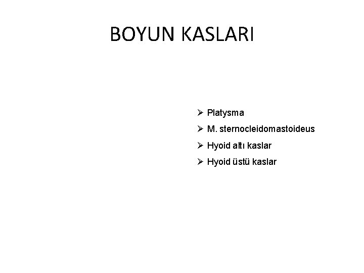 BOYUN KASLARI Ø Platysma Ø M. sternocleidomastoideus Ø Hyoid altı kaslar Ø Hyoid üstü