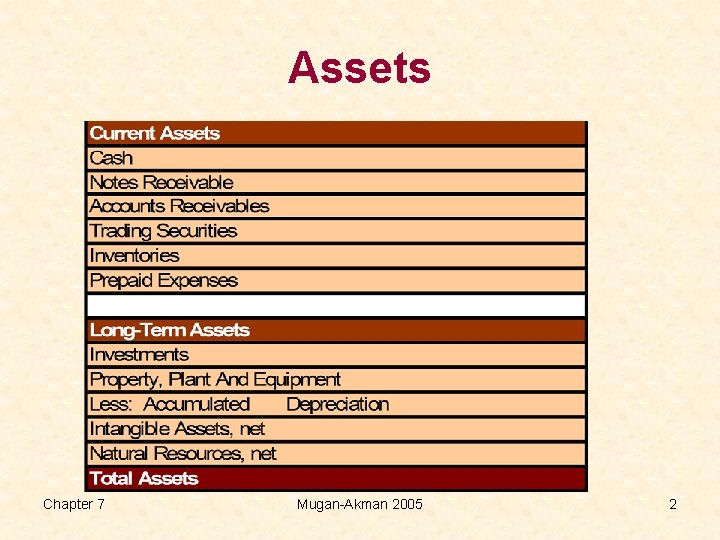 Assets Chapter 7 Mugan-Akman 2005 2 