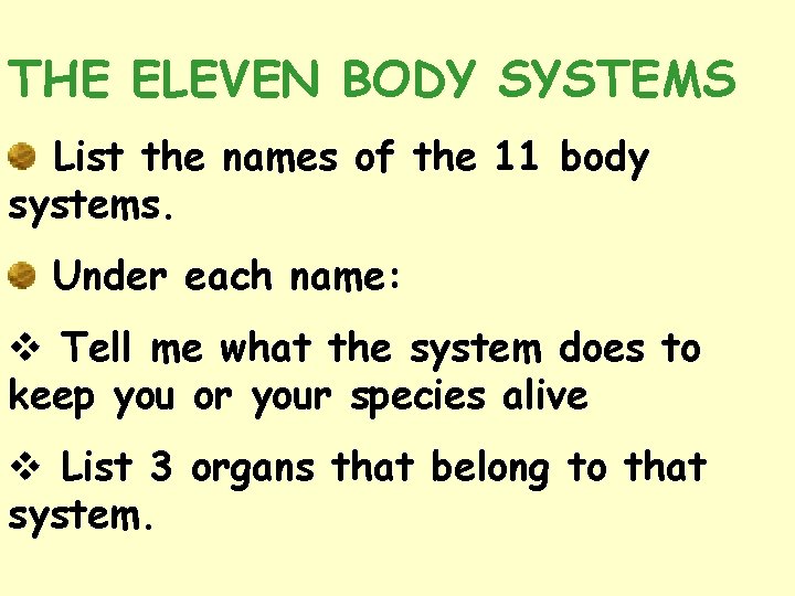 THE ELEVEN BODY SYSTEMS List the names of the 11 body systems. Under each