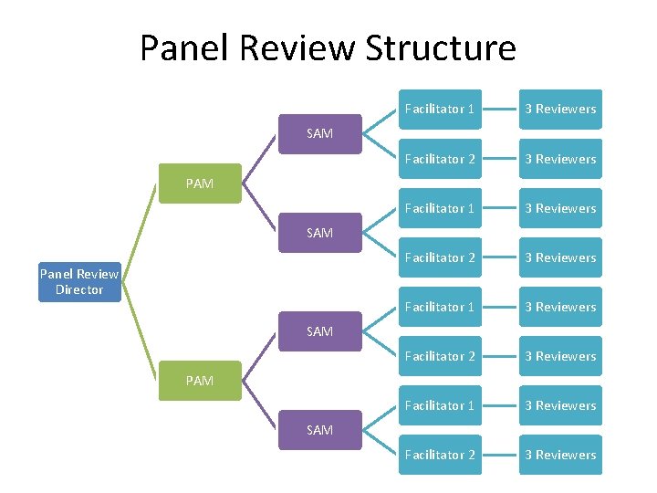 Panel Review Structure Facilitator 1 3 Reviewers Facilitator 2 3 Reviewers SAM PAM SAM