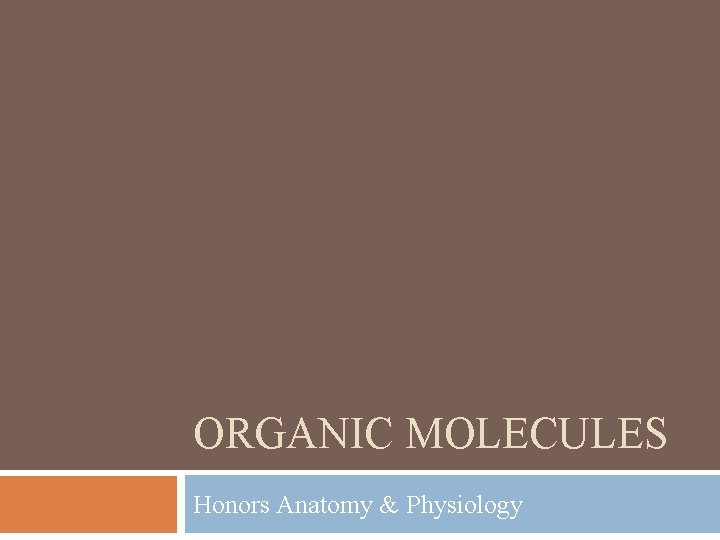 ORGANIC MOLECULES Honors Anatomy & Physiology 