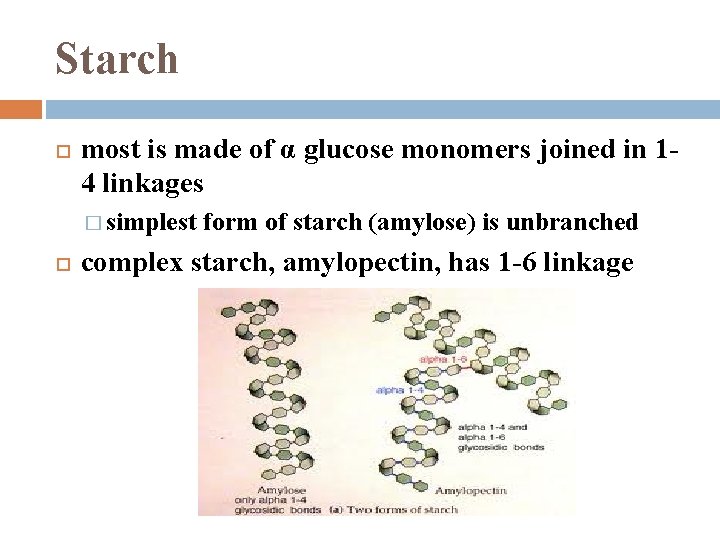 Starch most is made of α glucose monomers joined in 14 linkages � simplest