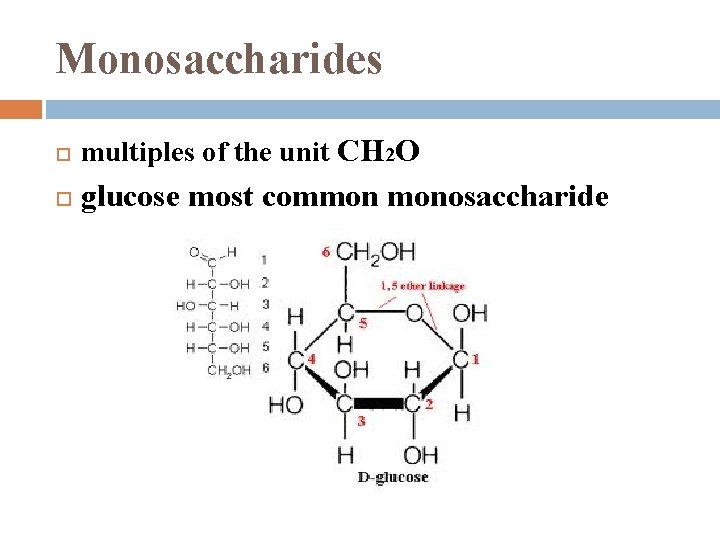 Monosaccharides multiples of the unit CH 2 O glucose most common monosaccharide 